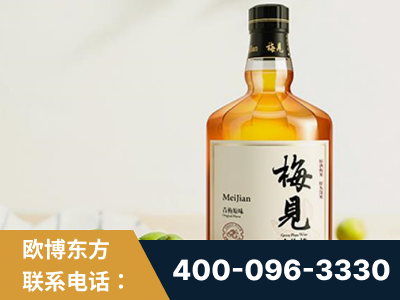 靖江-梅见青梅酒